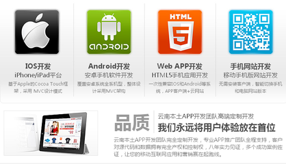APP定制開(kāi)發(fā) 從專業(yè)眼光解析淘寶網(wǎng)上的安卓與iOS軟件服務(wù)
